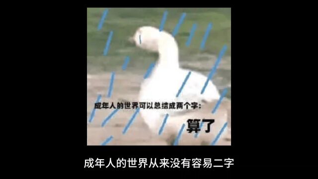 成长就是把哭声调成静音的过程