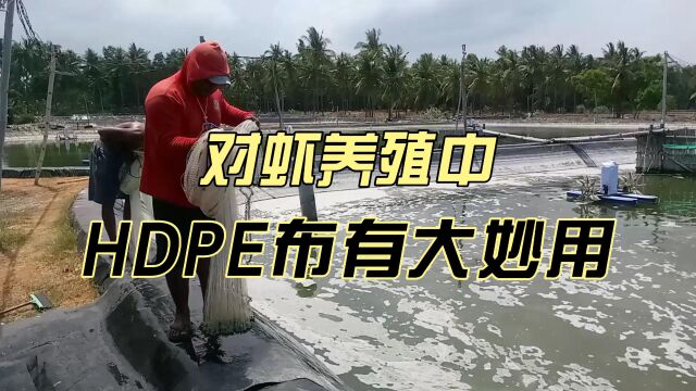 对虾养殖中,HDPE布有大妙用!这些优势养殖户必须了解!