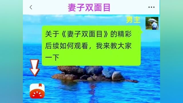 《妻子双面目》全集,点击左下方下载(番茄小说)精彩后续听不停#番茄小说 #小说