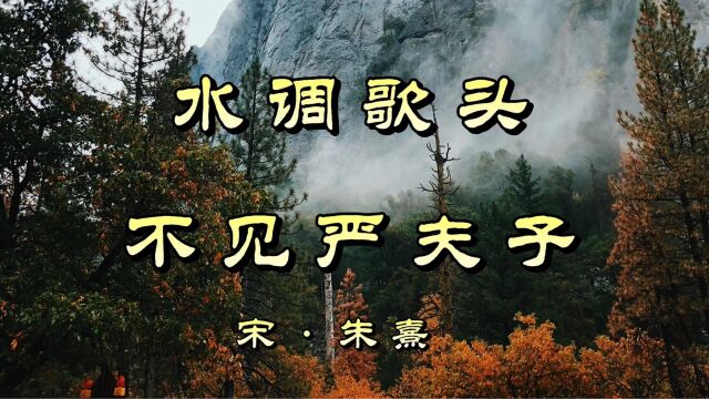 诗词欣赏:朱熹《水调歌头》—独委狂奴心事,不羡痴儿鼎足