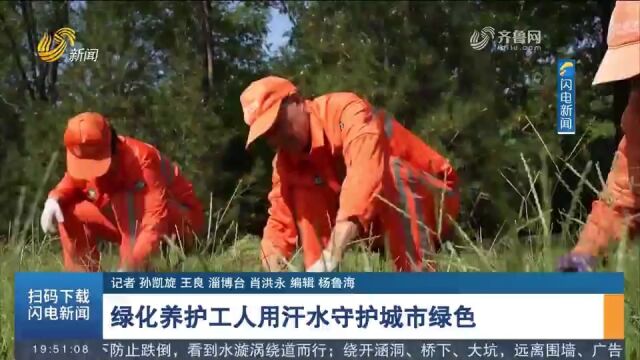 他们头顶炎炎烈日,为城市带来绿色!带你走进绿化养护工人