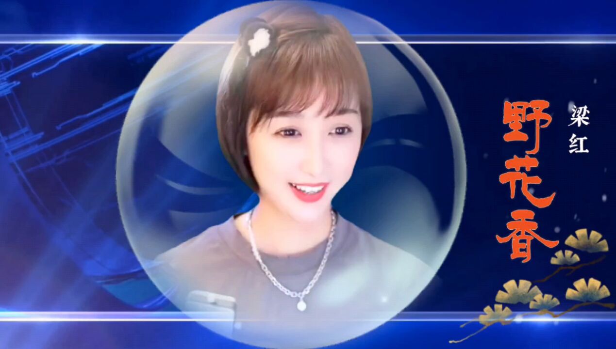 梁红一首《野花香》,节奏欢快,歌声醉人!