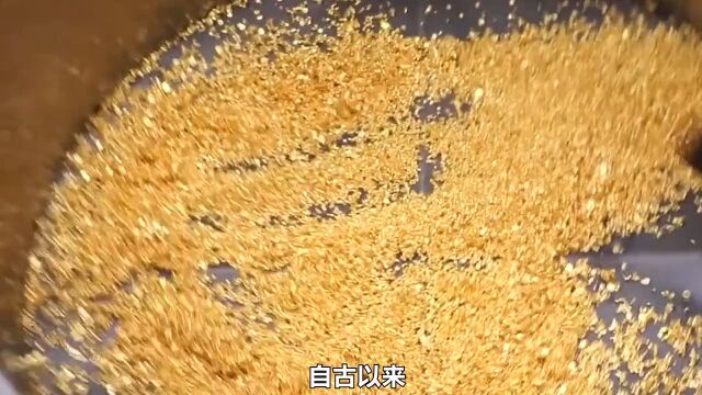 生物富集作用是什么?为何用玉米就能提炼出黄金?