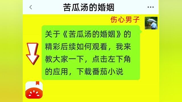 《苦瓜汤的婚姻》全集,点击左下方下载(番茄小说)精彩后续听不停#番茄小说 #小说