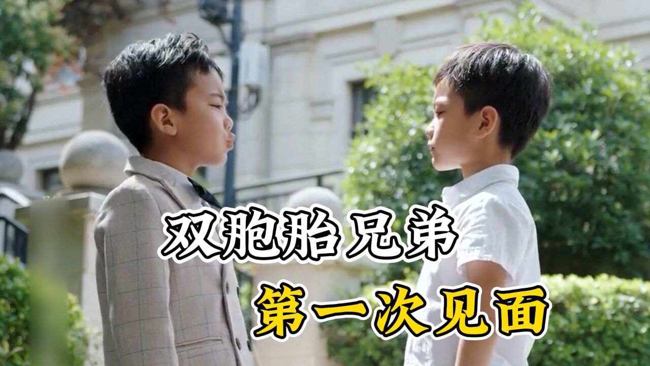在不同环境长大的双胞胎兄弟，五年后第一次见面相认_高清1080P在线观看平台_腾讯视频