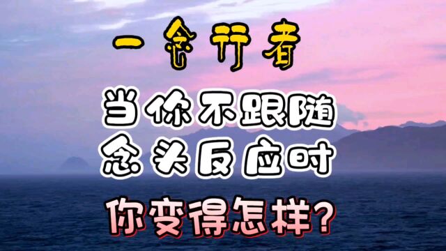 当你不跟随念头反应时.你变得怎样?——一念行者