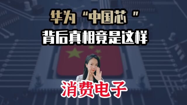 华为”中国芯“,背后真相竟是这样