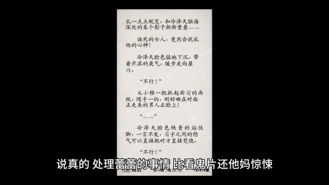 私宠岳绫盛怀翊(私宠小说)