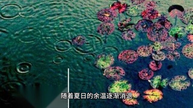 秋天的户外活动:大自然的秋意盎然