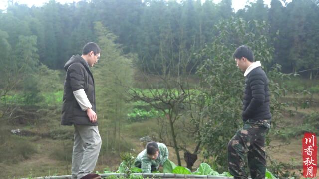 这一锅四川农村石磨豆花,在你心里是否已深深烙上印