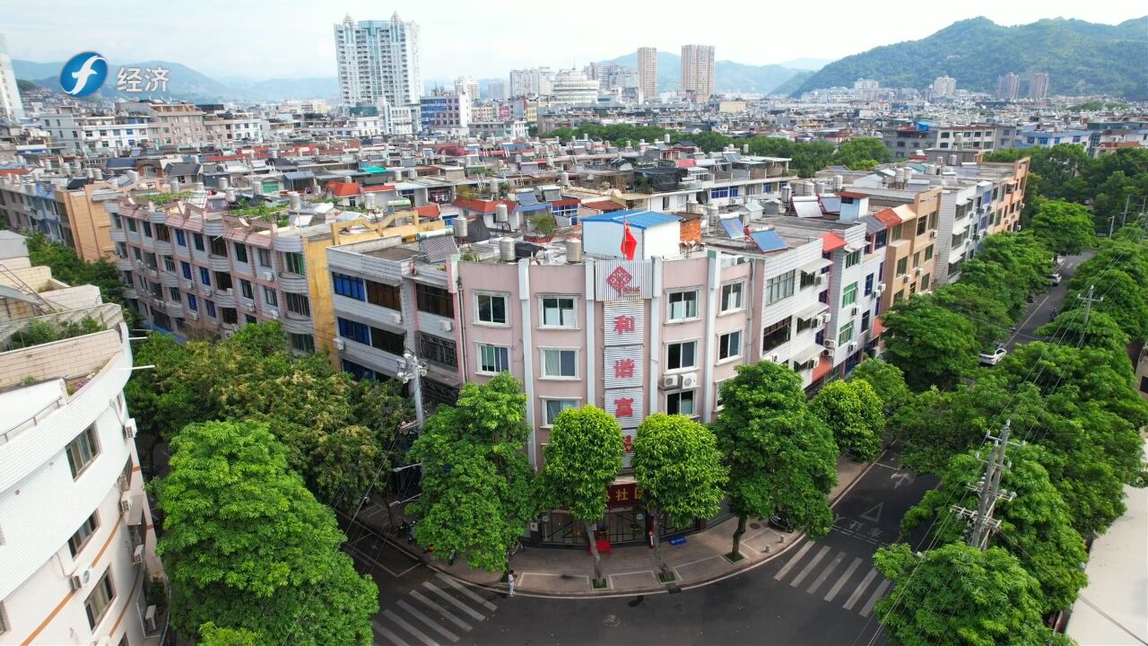 《福建新视野》福鼎市桐城街道富民社区