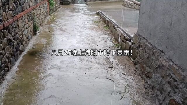 海阳市27晚上降下暴雨