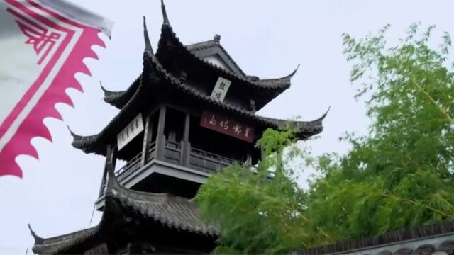 高邮当地人称赞自己的家乡,美得“驿“塔”糊涂