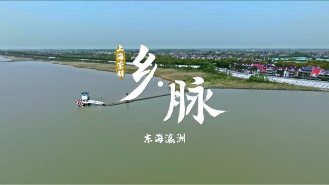 上海崇明|乡脉 ⷠ和美乡村万里行