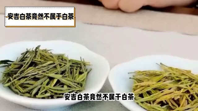 了解安吉白茶:独特的绿茶,不一样的白茶体验