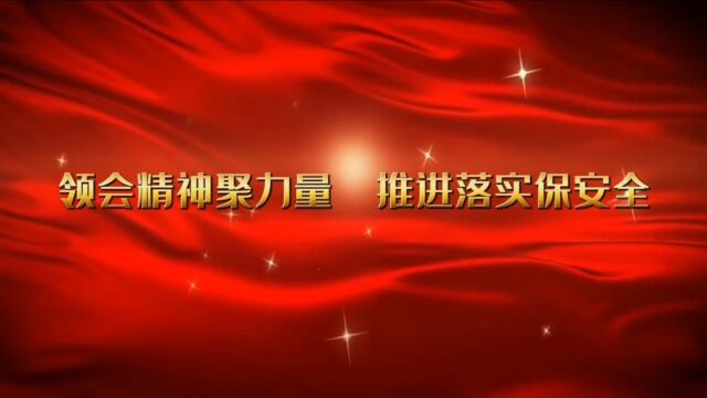 领会精神聚力量 推进落实保安全