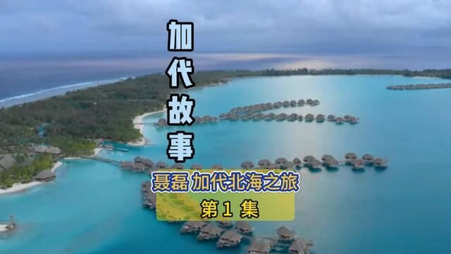 聂磊 加代北海之旅 第1集 #江湖故事汇#评书 #加代