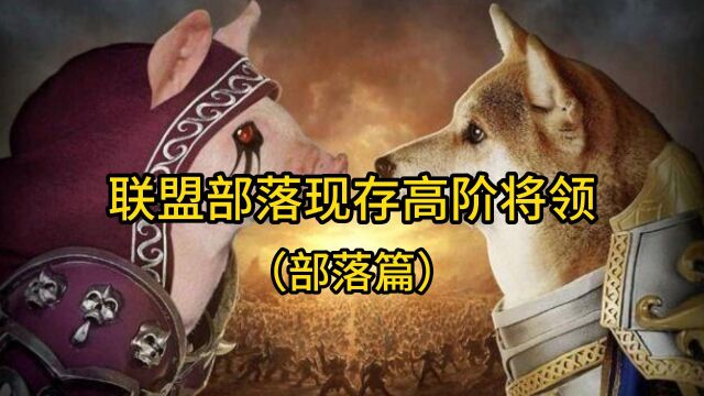 魔兽世界:联盟部落现存高阶将领(部落篇)