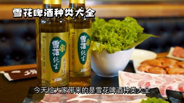 雪花啤酒种类大全纯生、勇闯天涯、淡爽、精酿一应俱全