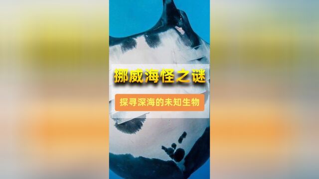 挪威海怪之谜:探寻深海的未知生物