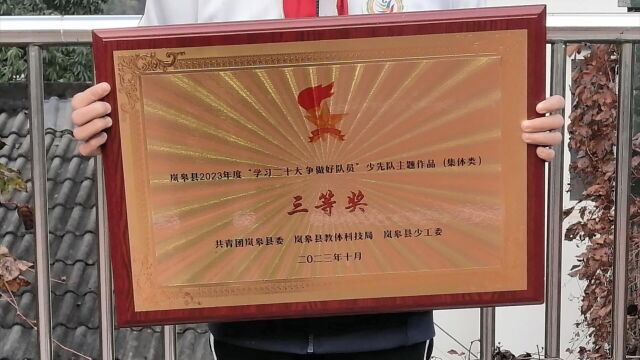 热烈祝贺滔河九年制学校大队委六中队、周子菲同学分别荣获岚皋县2023年度“学习二十大 争做好队员”(集体类)三等奖和(个人类)三等奖