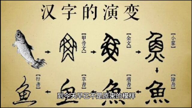 认识汉字,什么是会意字?西安起名公司祈福堂姓名学讲座