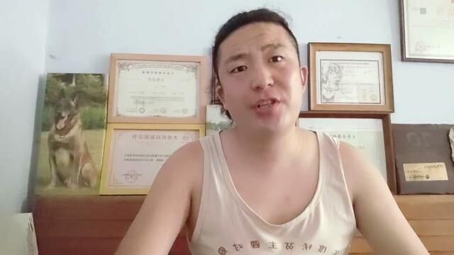 384是谁在为违法捕猎犯罪分子鸣不平