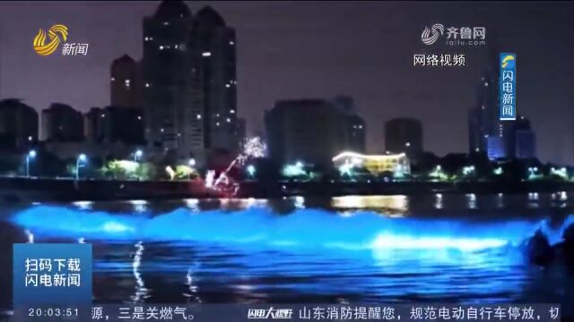 梦幻而神奇!青岛团岛海边夜晚出现“蓝眼泪”,引大量游客打卡