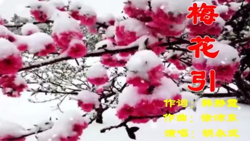 《梅花引》雪中的梅花实在是太美了。胡永武演唱。