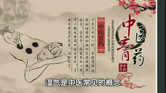 湿气重吃什么排湿最快