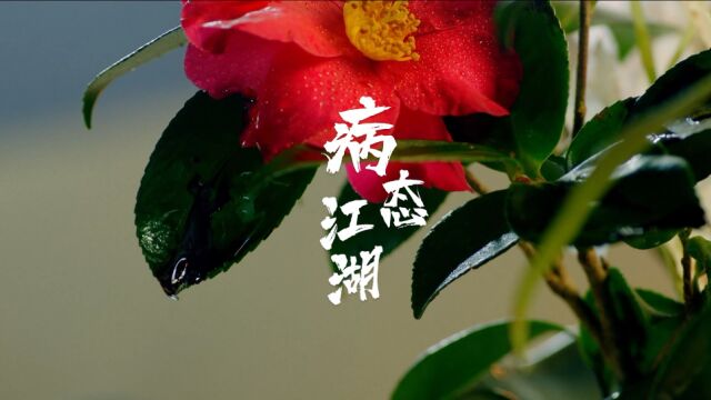 《江湖绝色录》美人榜今日放榜!