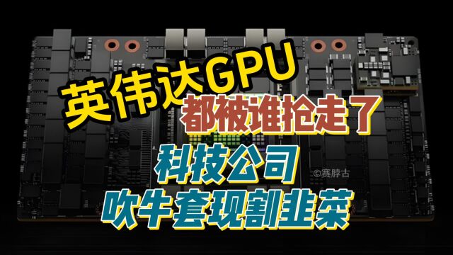 英伟达GPU都被谁抢走了,科技公司吹牛套现割韭菜