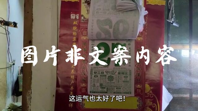 彩民中5注双色球头奖 获奖5183万