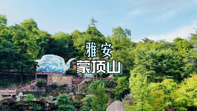 住山间民宿,品蒙顶山茶,走近雅安蒙顶山,许你一次夏日休闲之旅