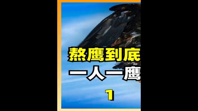 熬鹰到底有多狠?一人一鹰硬刚24小时不合眼,有人甚至因此猝死1冷知识动物