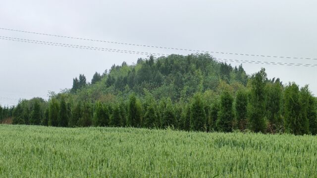 院长冒雨探访邙山帝王陵,乱世造就多少英雄?一个文盲却成了皇帝