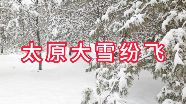 太原大雪纷飞,一派北国风光