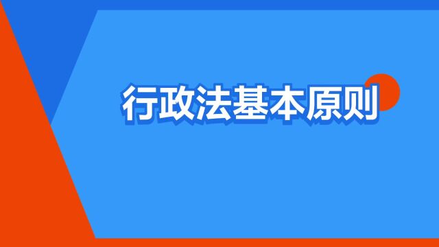 “行政法基本原则”是什么意思?