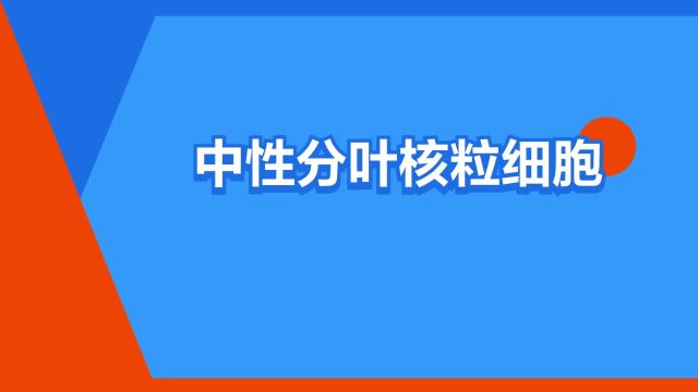 “中性分叶核粒细胞”是什么意思?