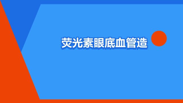 “荧光素眼底血管造影法”是什么意思?