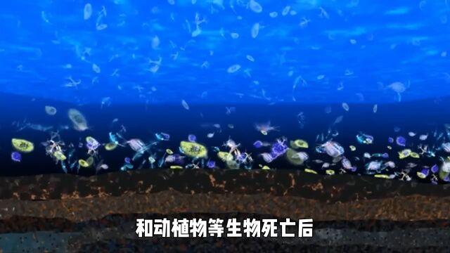 天然气和石油究竟是如何形成的?看完才懂为什么叫不可再生资源