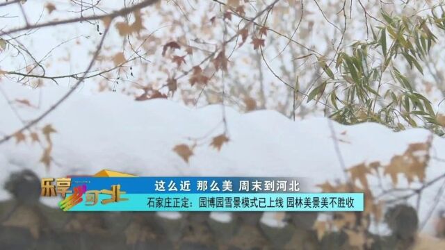 这么近,那么美,周末到河北|石家庄正定:园博园雪景模式已上线 园林美景美不胜收