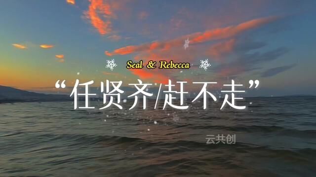 终于集齐了素材,有了一首完整的「赶不走」#音乐分享 #任贤齐 #那些年我们一起听过的任贤齐