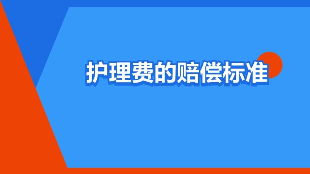 “护理费的赔偿标准”是什么意思?