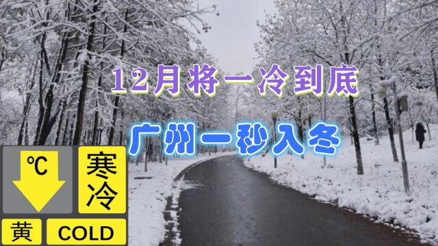 寒冷预警!广州一天内从夏季入冬季,12月有4次寒潮,或一冷到底