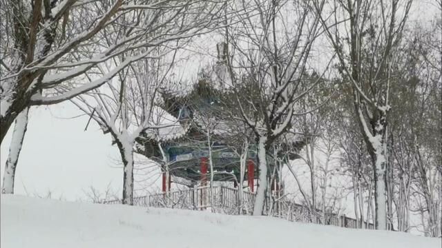 海天黯黯万重云,欲到前村路不分. 烈风吹雪深一丈,大布缝衫重七斤. 若不是戒了酒,今天说啥也要围炉煮酒来两壶!白瞎这雪景了!