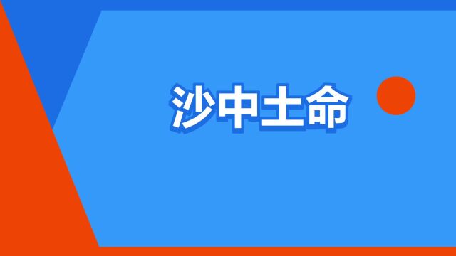 “沙中土命”是什么意思?