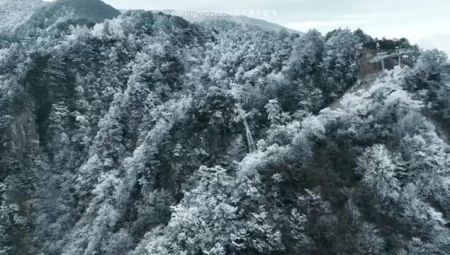 临安余杭临平萧山富阳桐庐建德淳安......大杭州今冬第一场雪,昨夜今晨就这样都来过了