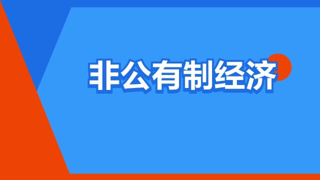 “非公有制经济”是什么意思?