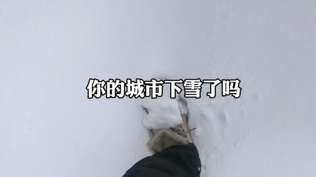 郑州2023年第一场雪,#多地迎来今冬首场大范围降雪 #瑞雪兆丰年好运连连 #2023第一场雪 #冬天该有的样子